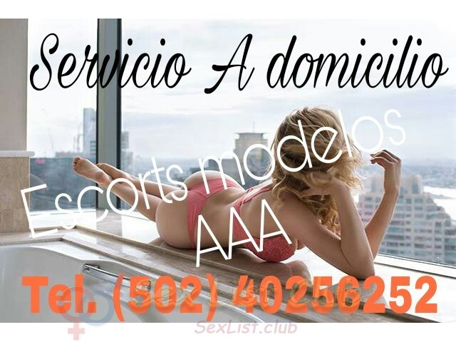 Chicas AAA Modelos a domicilio Guatemala la mejor compañía tel. 4025 6252