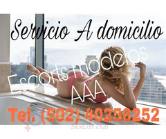 Chicas AAA Modelos a domicilio Guatemala la mejor compañía tel. 4025 6252