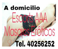 Escorts AAA,  a domicilio Guatemala la mejor compañía tel. 40256252 WhatsApp