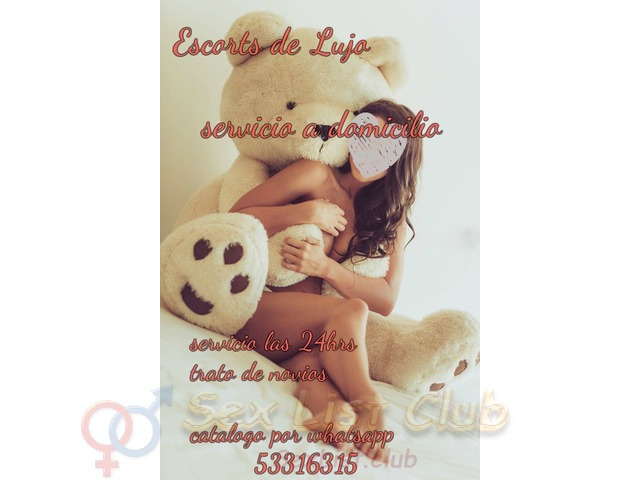 53316315 escorts de lujo servicio a domicilio whatsapp