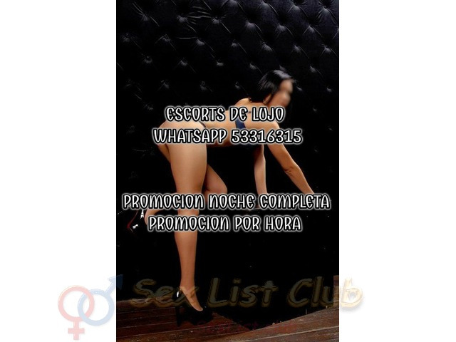 exclusive servicio ladies luxury whatsapp 53316315