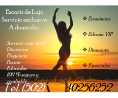 servicio exclusivo a domicilio hoteles zona 10 y carretera salvador tel. 40256252 personal exclusivo